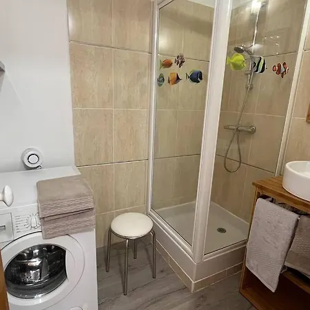 La Reinette Du Verger 9 D'arry 1